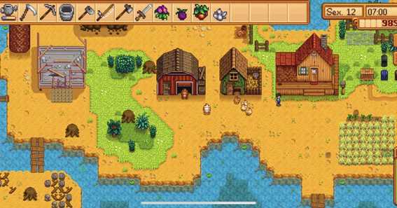 Як зменшити Stardew Valley? 9