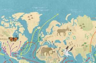 У Самарканді Відкрилася Конференція З Мігруючих Видів Диких Тварин 4