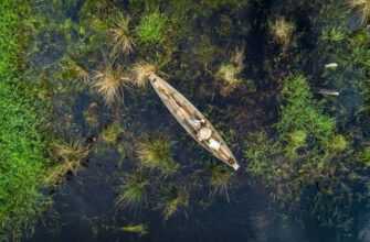 Водно-Болотні Угіддя – Важливий Фактор Благополуччя Людини 3