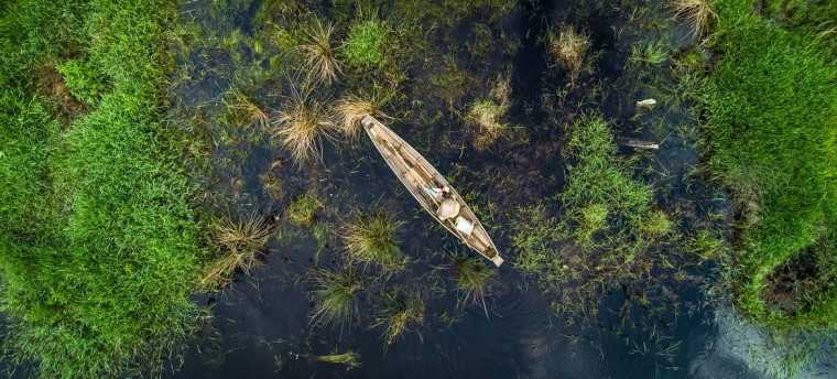 Водно-болотні угіддя – важливий фактор благополуччя людини 5