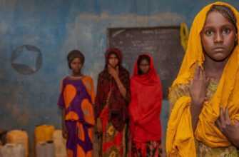 Конференція У Женеві: Донори Пообіцяли Виділити 630 Мільйонів Доларів На Допомогу Ефіопії 3