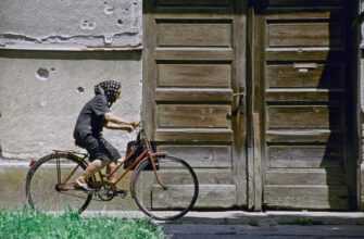 1,8 Миллиарда Жителям Планети Загрожують Хвороби Через Недостатню Фізичну Активність 3