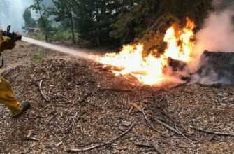 Головні Новини Дня Понеділок: Газа, Україна, Віл, Лісові Пожежі 2