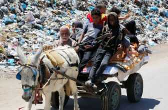 Вооз Виявила Потенційно Небезпечний Вірус Поліомієліту В Навколишньому Середовищі Гази 2